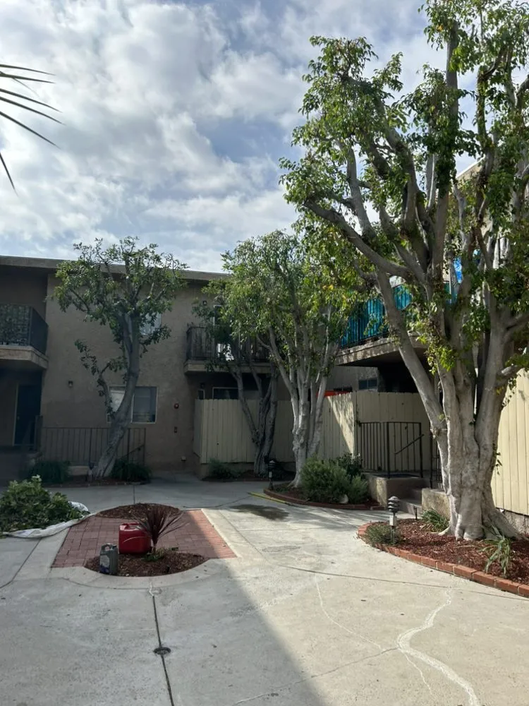 Expert outdoor landscaping in North Hollywood, CA by Joseph’s Tree Service and Landscape