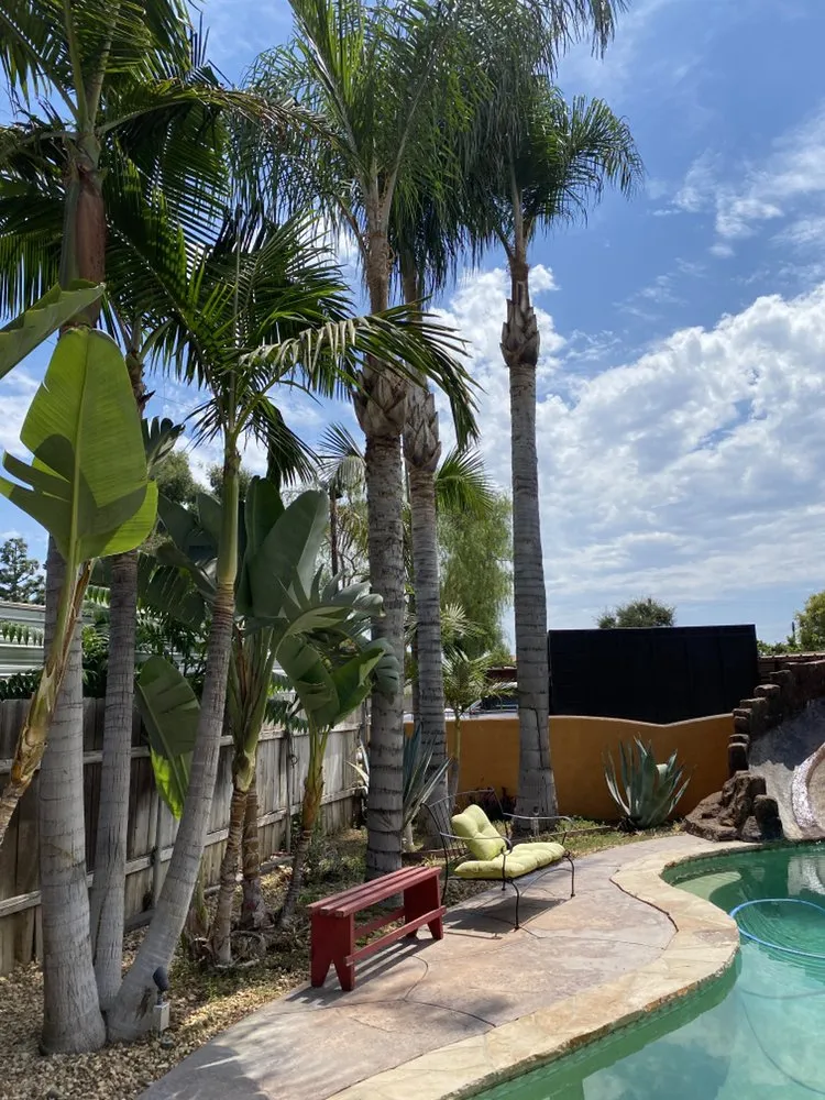 Top-rated outdoor landscaping in North Hollywood, CA by Joseph’s Tree Service and Landscape