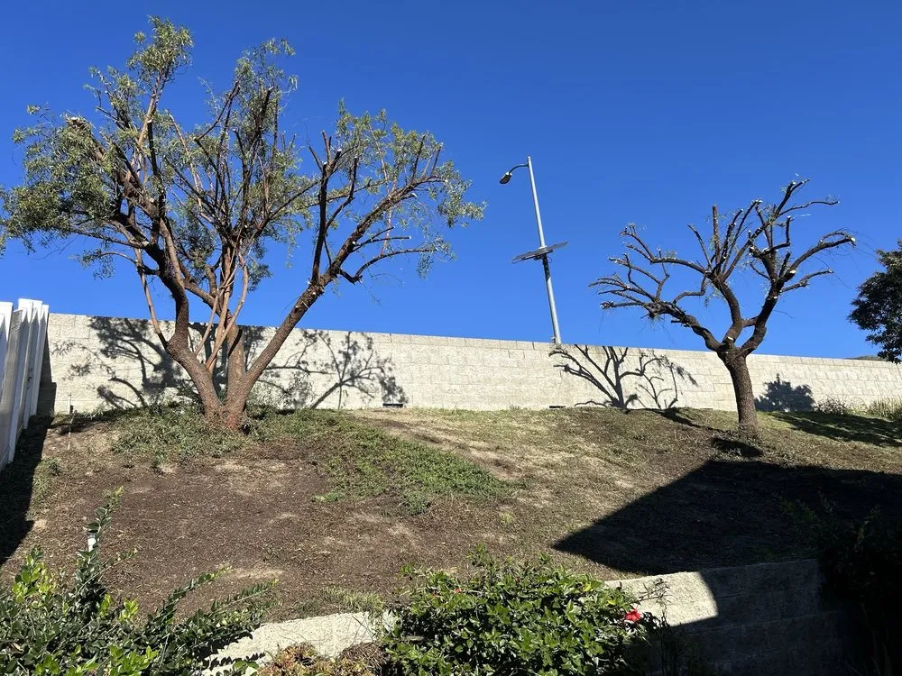 Reliable garden landscaping in North Hollywood, CA by Joseph’s Tree Service and Landscape