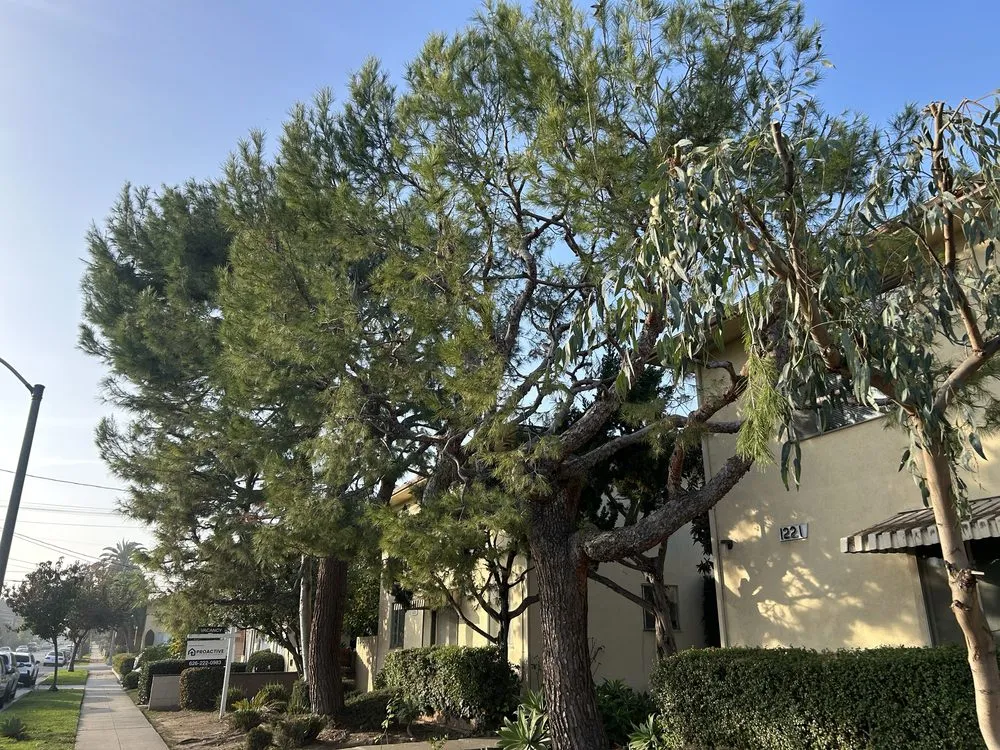 Reliable residential landscaping near you across North Hollywood, CA - Joseph’s Tree Service and Landscape