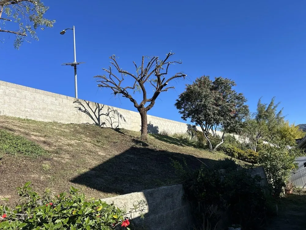 Professional residential landscaping experts serving North Hollywood, CA - Joseph’s Tree Service and Landscape