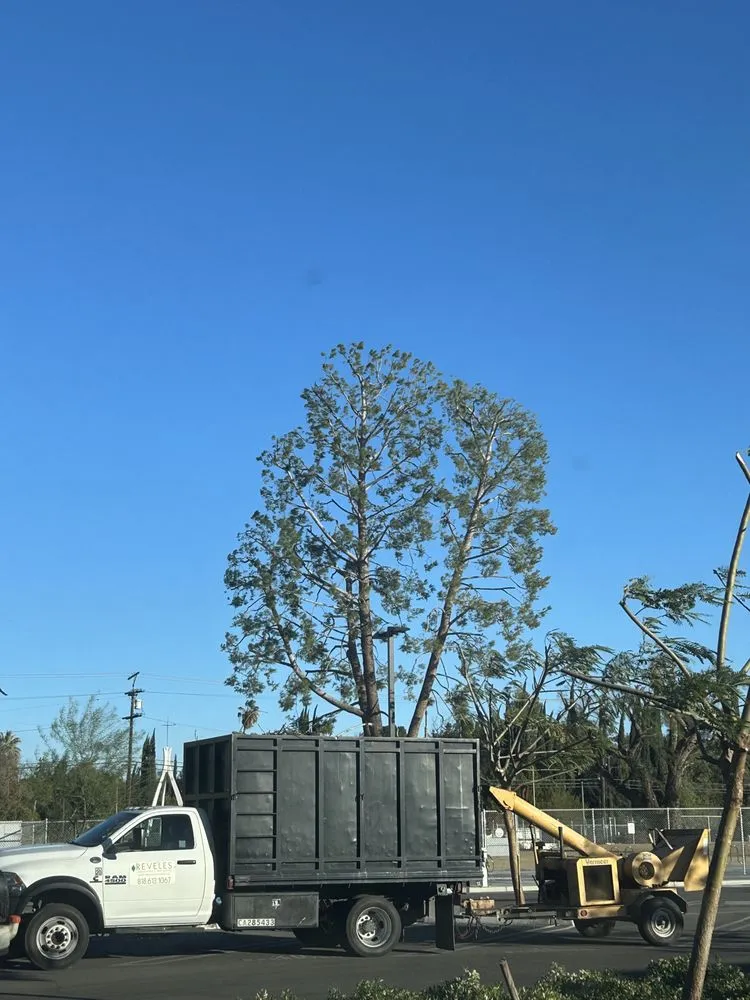 Expert landscaping services for year-round maintenance across North Hollywood, CA - Joseph’s Tree Service and Landscape