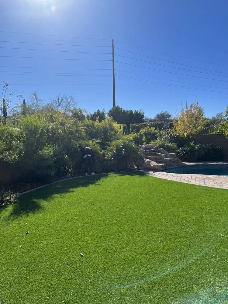 Professional residential landscaping in Glendale, AZ - Jose’s Clean Ups
