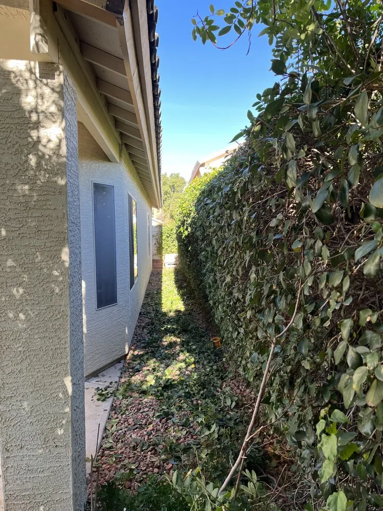 Custom residential landscaping for residential properties in Glendale, AZ by Jose’s Clean Ups