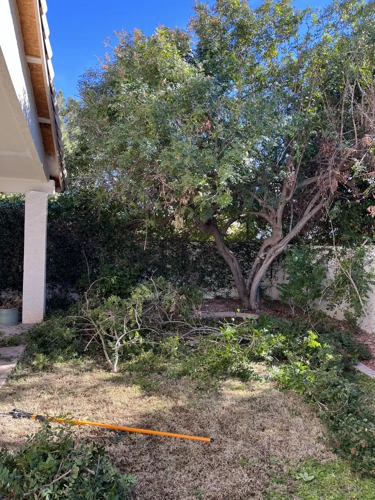 Local yard maintenance experts serving Glendale, AZ - Jose’s Clean Ups