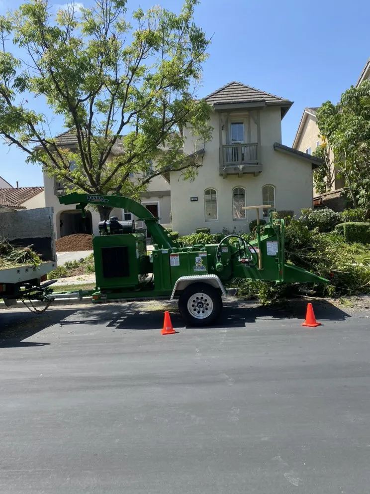 Professional outdoor landscaping in La Habra, CA - Jose's Complete Care
