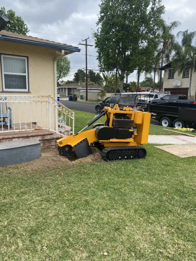 Affordable garden landscaping in La Habra, CA - Jose's Complete Care