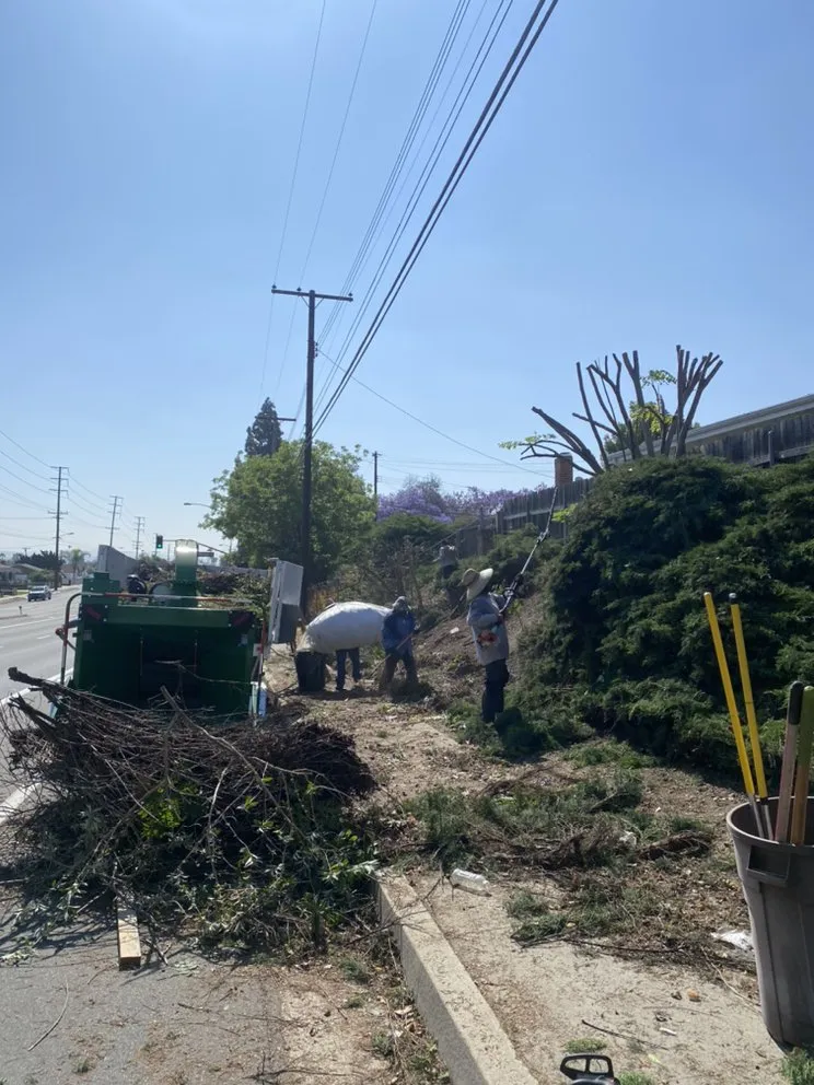 Expert yard cleanup service for residential properties across La Habra, CA - Jose's Complete Care