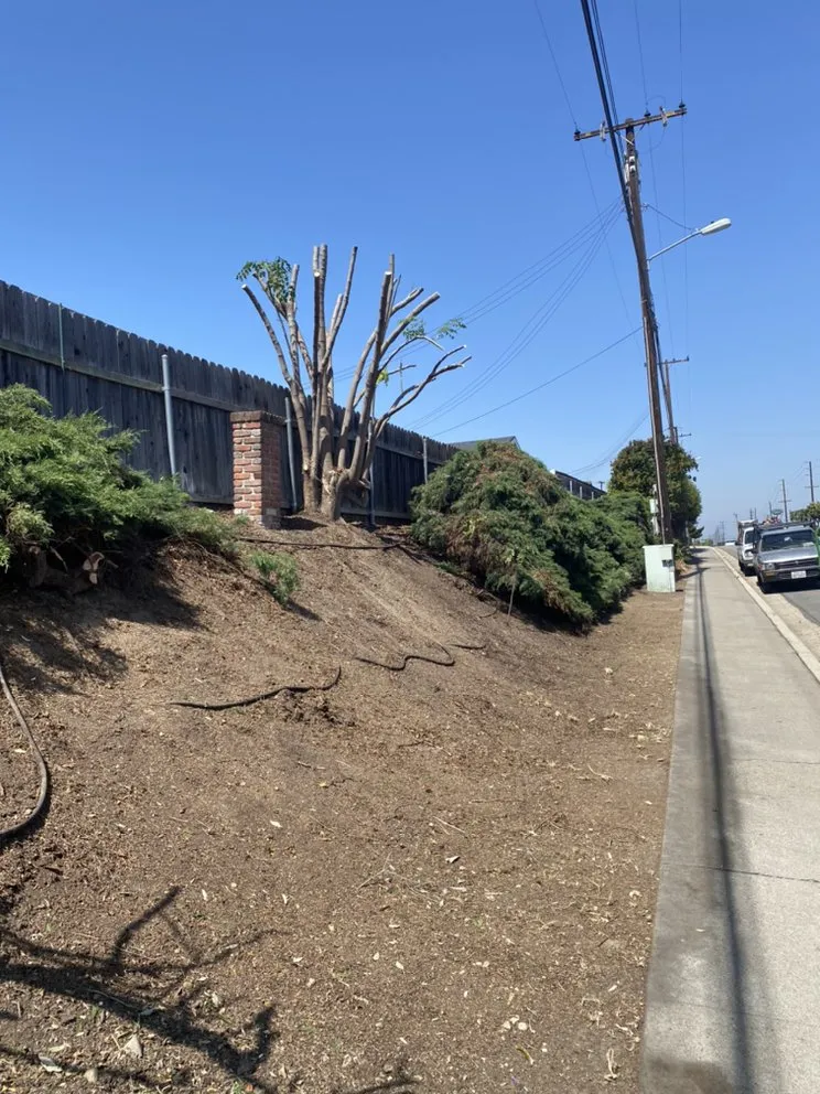 Custom garden landscaping for beautiful yards in La Habra, CA by Jose's Complete Care