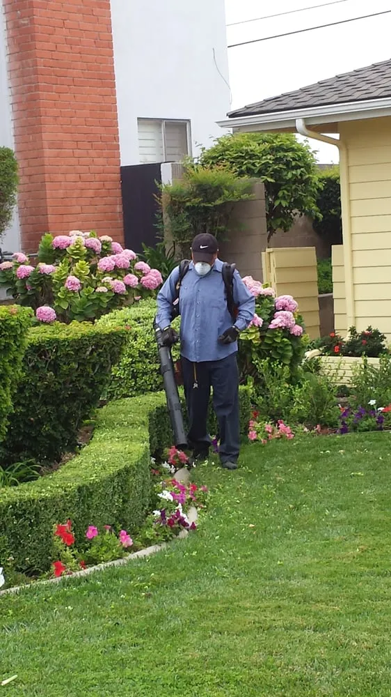 Local outdoor landscaping for residential properties across La Habra, CA - Jose's Complete Care