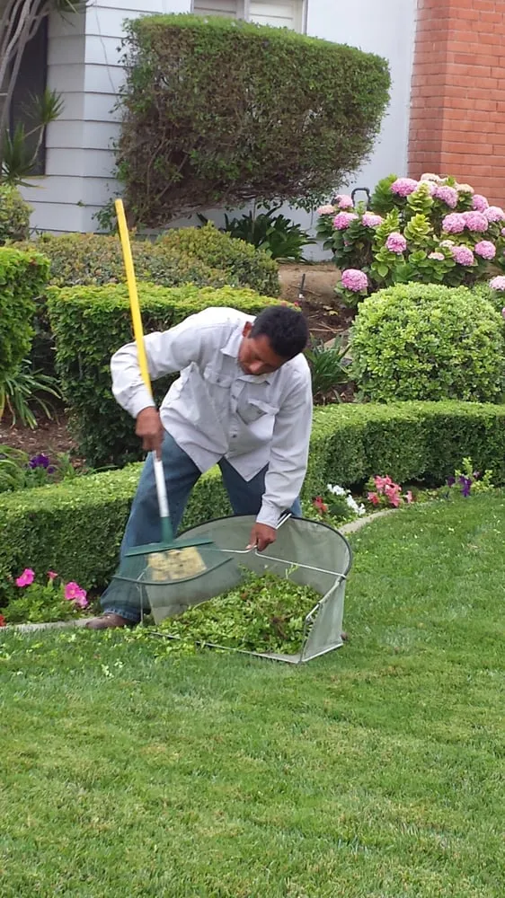Professional yard maintenance experts serving La Habra, CA - Jose's Complete Care