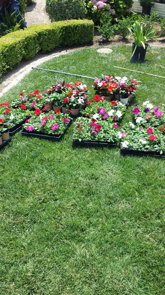 Affordable outdoor landscaping experts serving La Habra, CA - Jose's Complete Care