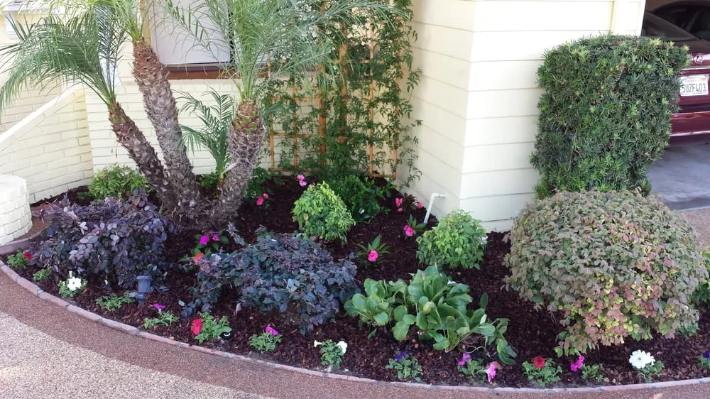 Trusted lawn care service in La Habra, CA by Jose's Complete Care