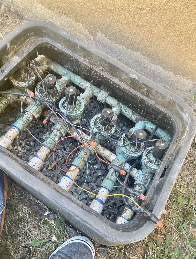 Custom landscape installation in La Habra, CA - Jose's Complete Care