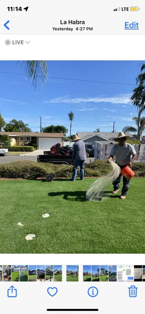 Trusted outdoor landscaping for year-round maintenance in La Habra, CA by Jose's Complete Care