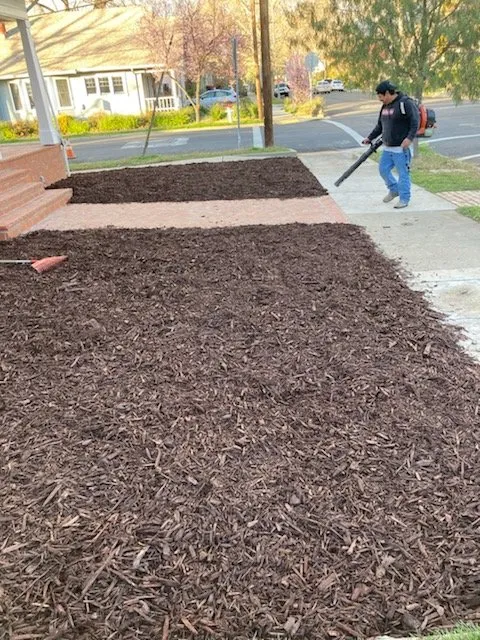 Local residential landscaping in Sacramento, CA - Jose's Gardening & Maintenance Services