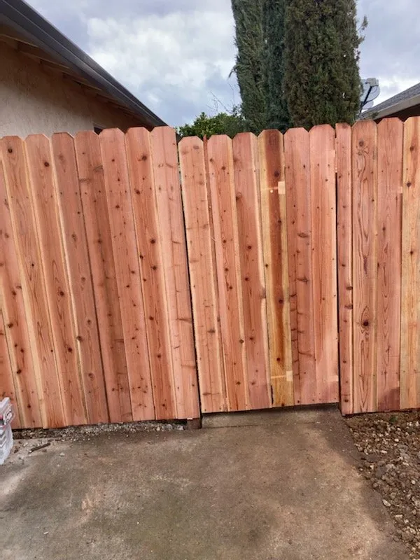 Professional yard cleanup service experts serving Sacramento, CA - Jose's Gardening & Maintenance Services