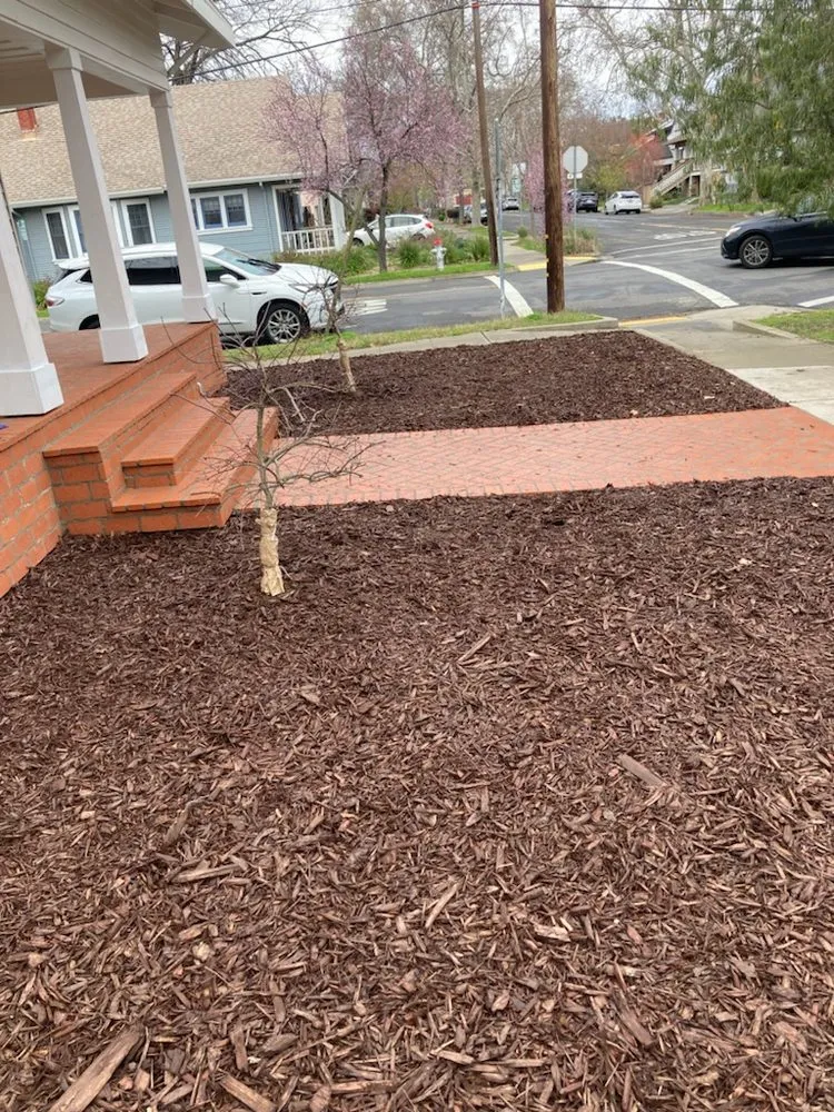 Local garden landscaping in Sacramento, CA by Jose's Gardening & Maintenance Services