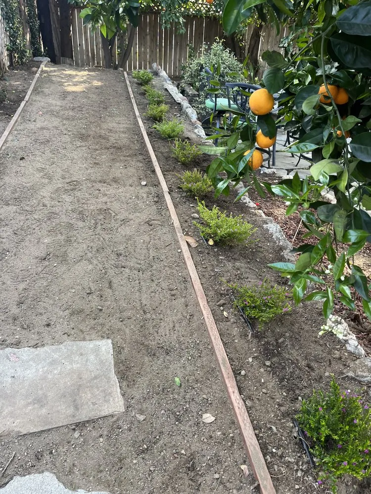 Professional yard maintenance for homes across Glendale, CA - Jose's Gardening and Landscaping