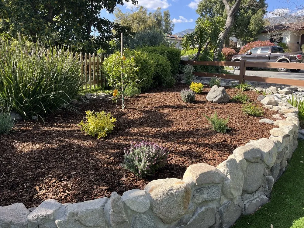 Top-rated yard cleanup service experts serving Glendale, CA - Jose's Gardening and Landscaping