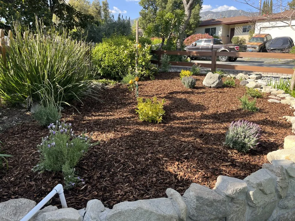 Custom outdoor landscaping for homes in Glendale, CA by Jose's Gardening and Landscaping