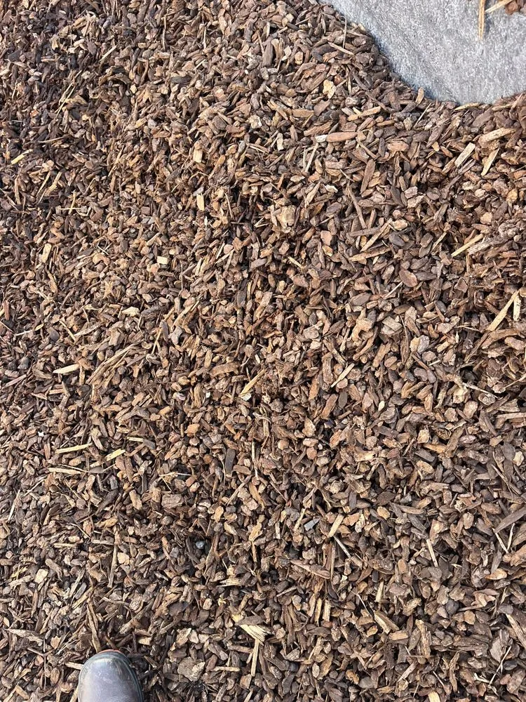 Professional landscape design in Glendale, CA - Jose's Gardening and Landscaping