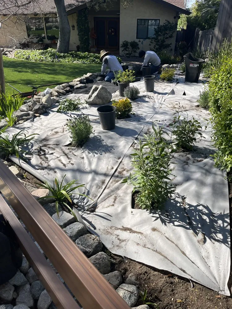 Top-rated lawn care service for residential properties across Glendale, CA - Jose's Gardening and Landscaping