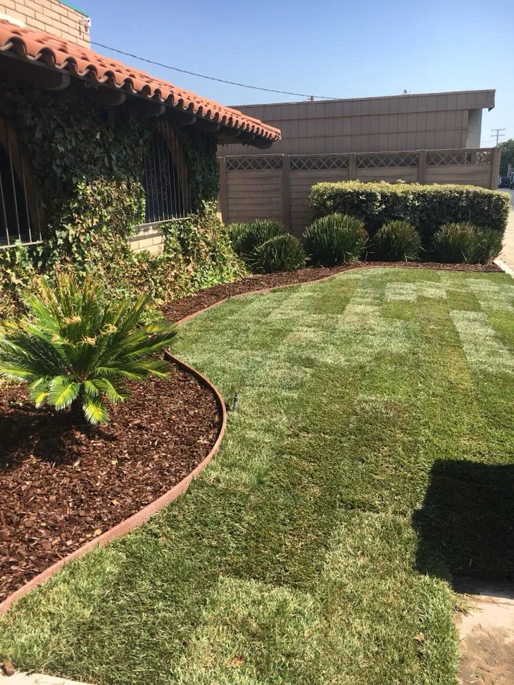 Reliable yard cleanup service experts serving Santa Clarita, CA - Jose's Gardening