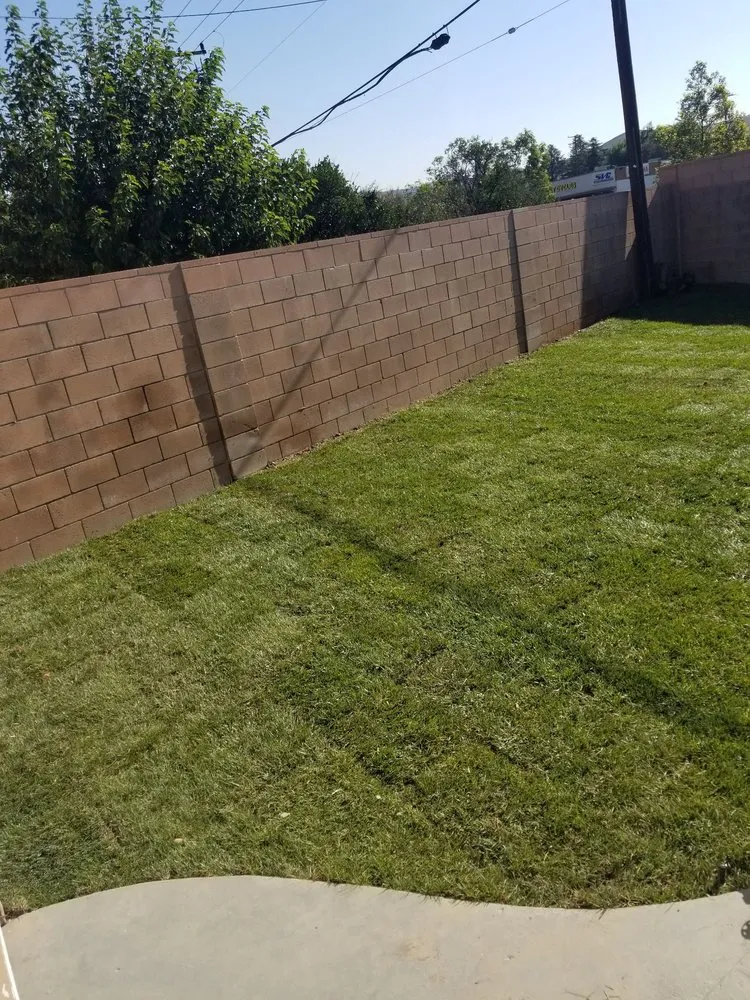 Affordable lawn care service for year-round maintenance in Santa Clarita, CA by Jose's Gardening