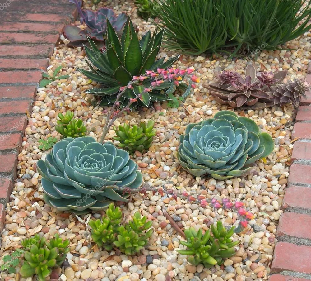 Affordable landscape design for homes in Santa Clarita, CA by Jose's Gardening