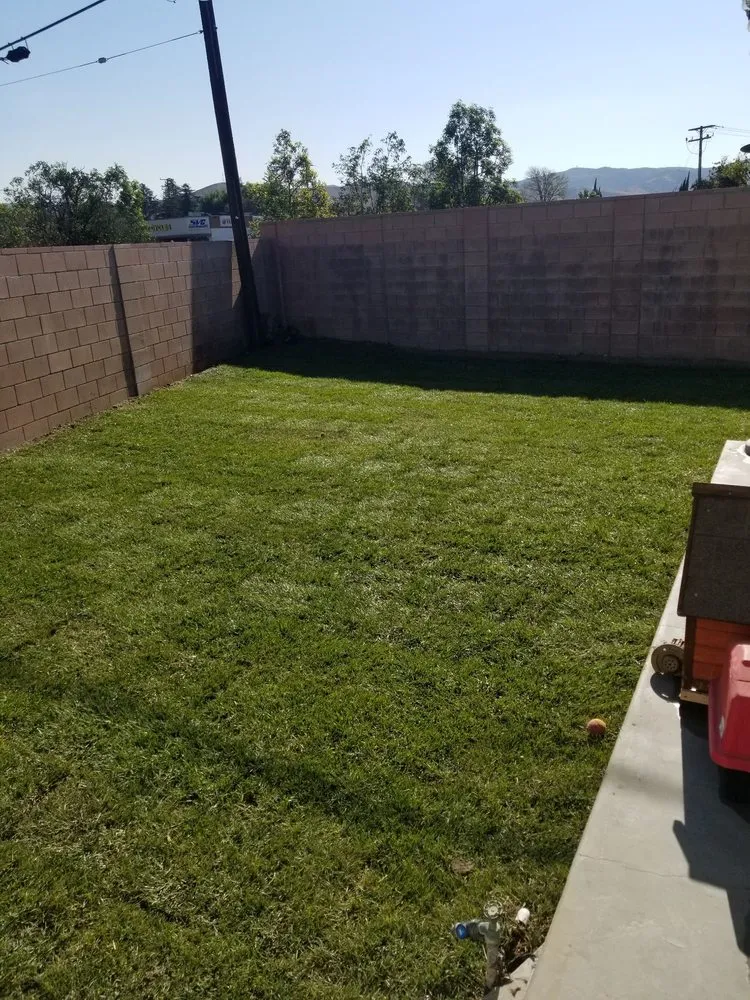 Custom yard maintenance experts serving Santa Clarita, CA - Jose's Gardening