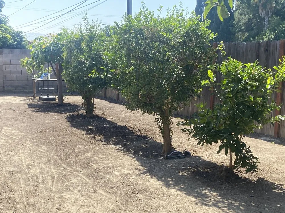 Local lawn care service in City of Industry, CA - Jose's Gardening Service