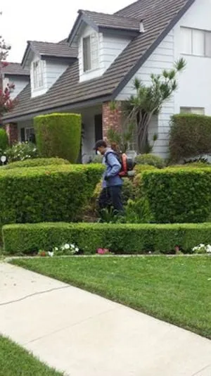 Expert outdoor landscaping in Whittier, CA by Jose's Gardening Services