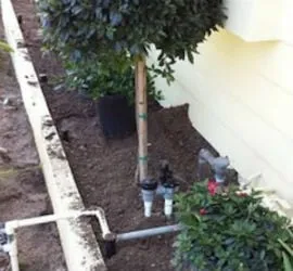 Affordable outdoor landscaping in Whittier, CA by Jose's Gardening Services