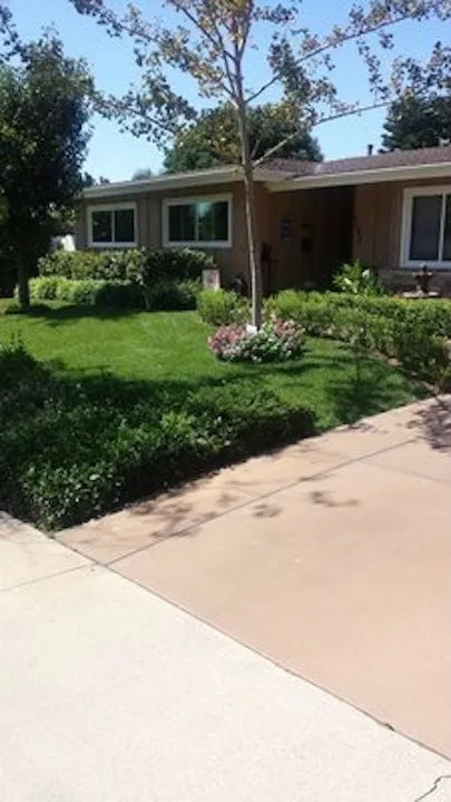 Custom yard cleanup service with custom design in Whittier, CA by Jose's Gardening Services