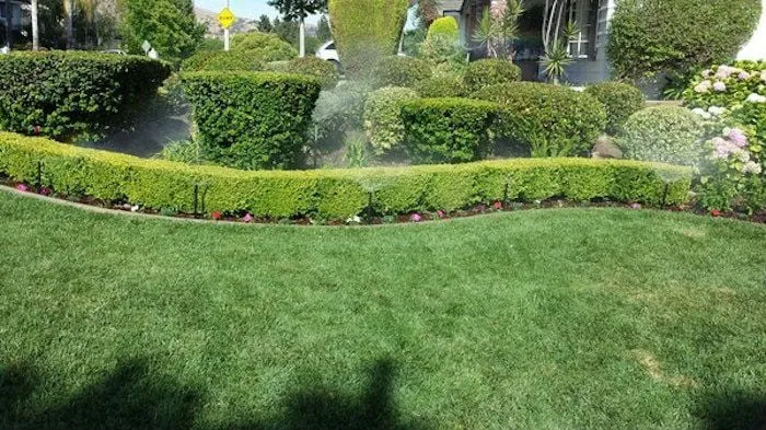 Professional garden landscaping in Whittier, CA by Jose's Gardening Services