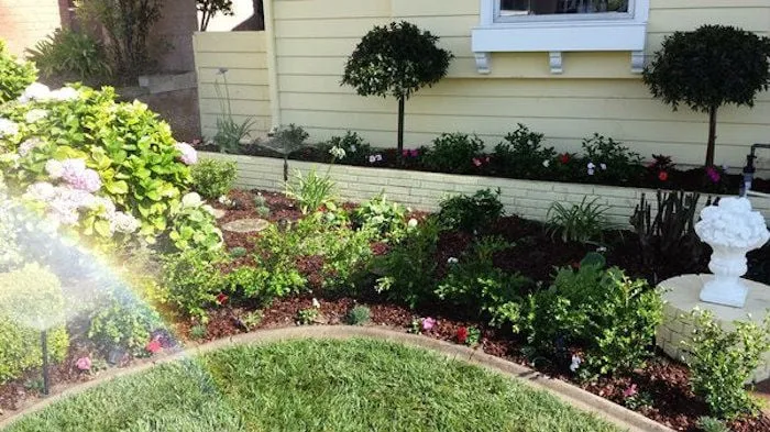 Professional lawn care service in Whittier, CA - Jose's Gardening Services
