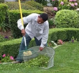 Trusted garden landscaping with custom design in Whittier, CA by Jose's Gardening Services