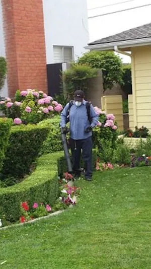 Trusted yard maintenance experts serving Whittier, CA - Jose's Gardening Services