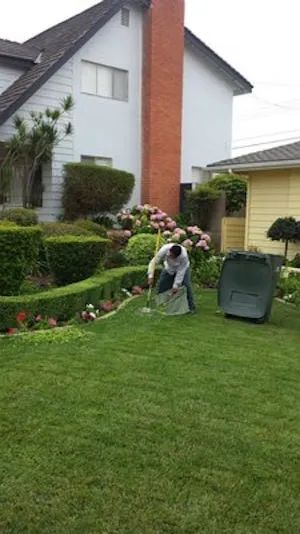 Expert landscape installation with custom design in Whittier, CA by Jose's Gardening Services