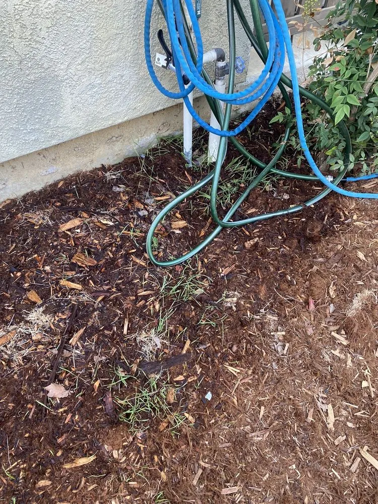 Local landscape installation in Vallejo, CA by Jose's Gardening