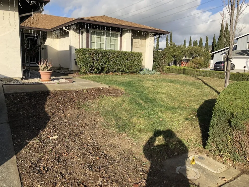 Reliable residential landscaping for residential properties in Vallejo, CA by Jose's Gardening