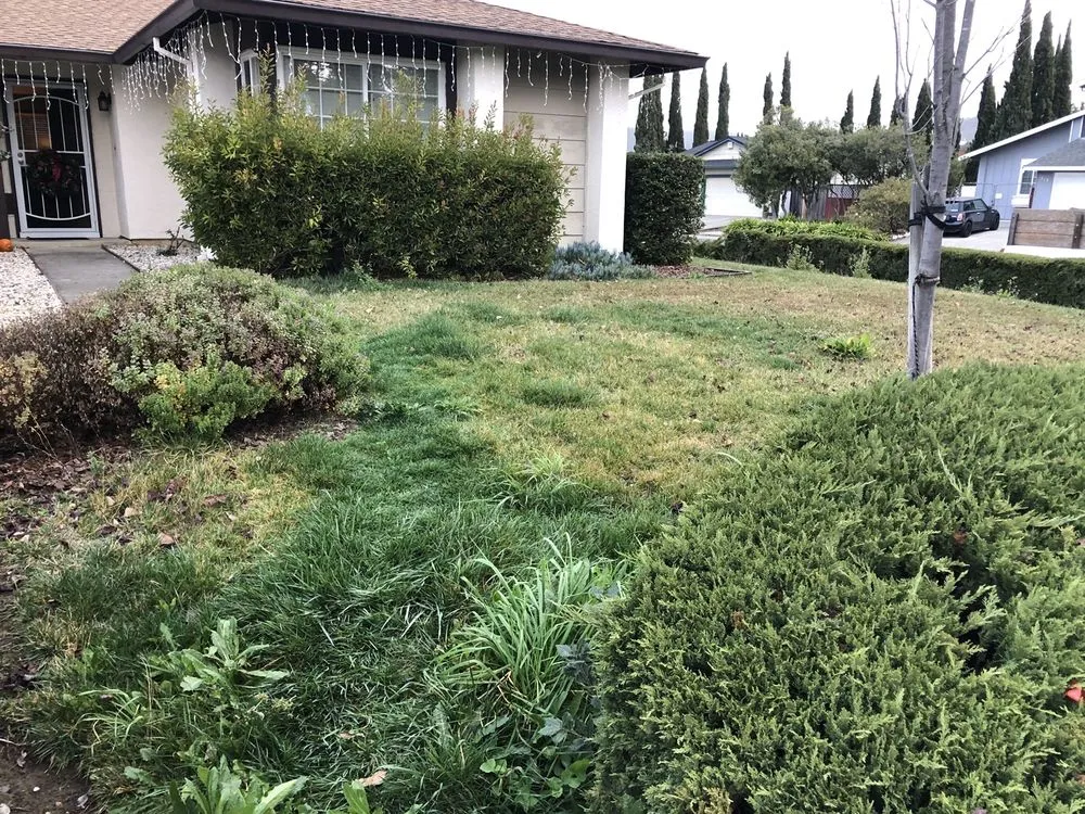Expert residential landscaping experts serving Vallejo, CA - Jose's Gardening