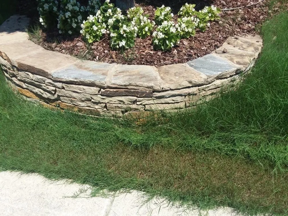 Reliable yard cleanup service in Alabaster, AL - Jose’s Green Land