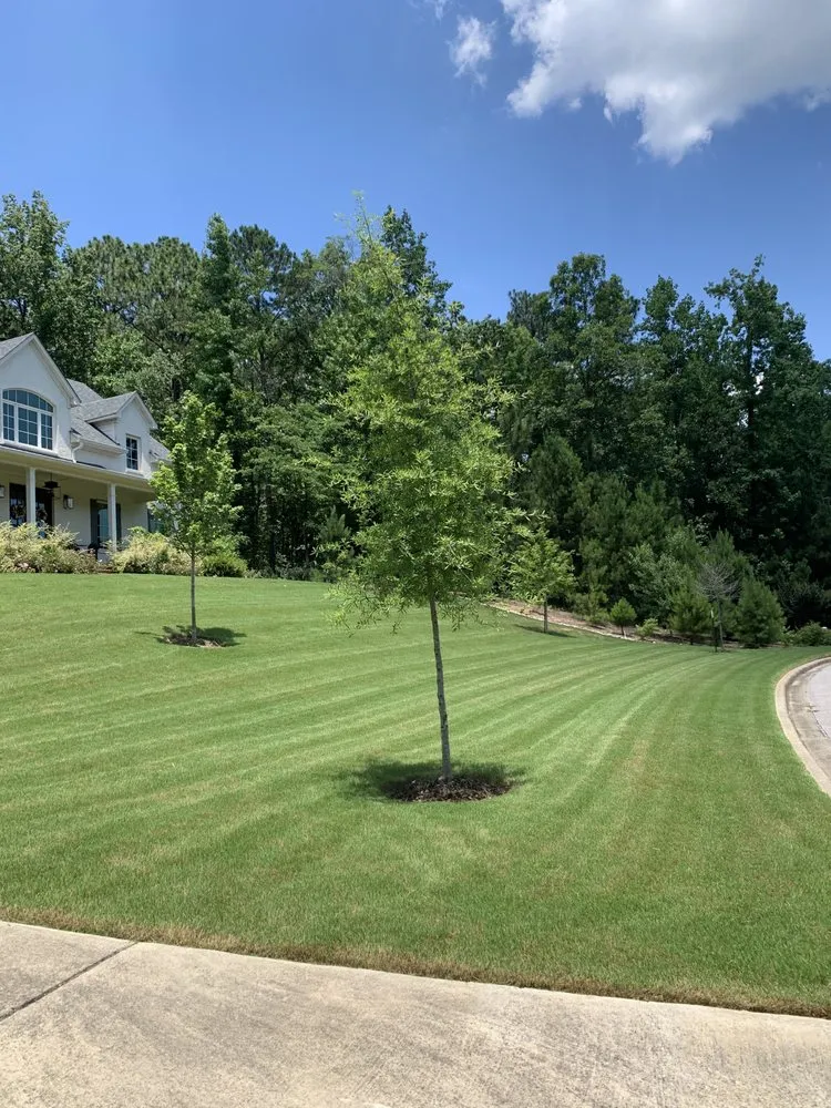 Custom yard maintenance experts serving Alabaster, AL - Jose’s Green Land