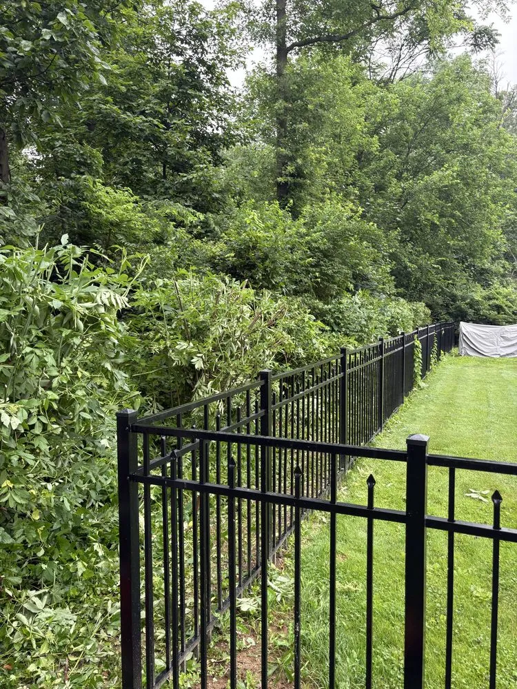 Affordable yard maintenance for outdoor upgrades in York, PA by Jose’s Green Solutions