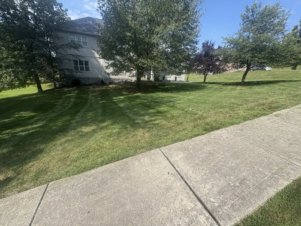 Top-rated landscape installation for outdoor upgrades across York, PA - Jose’s Green Solutions