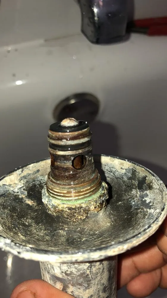 Top-rated landscape design in Tracy, CA by Jose’s Handywork