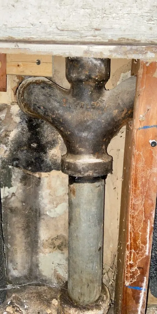 Professional yard cleanup service in Tracy, CA - Jose’s Handywork