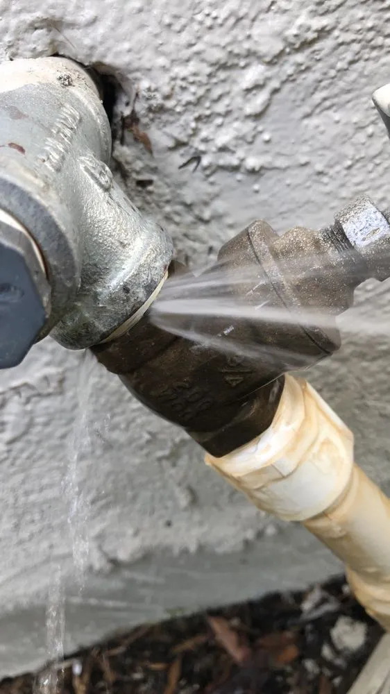 Expert yard maintenance experts serving Tracy, CA - Jose’s Handywork